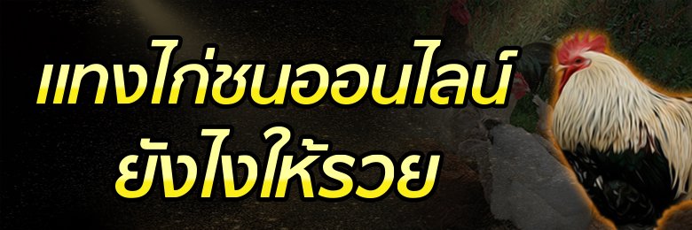 สมัครแทงไก่ชนออนไลน์