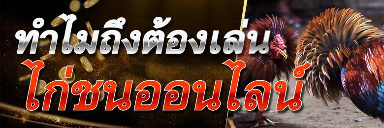 ไก่ชนออนไลน์เชื่อถือได้