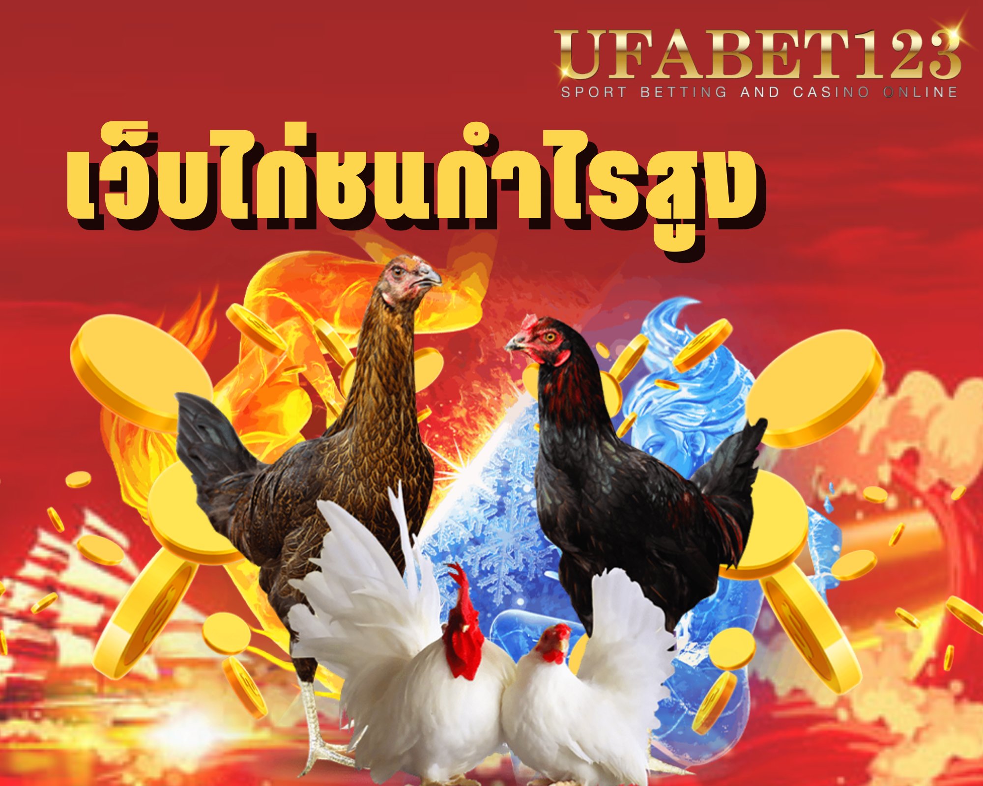 เว็บไก่ชนกำไรสูง