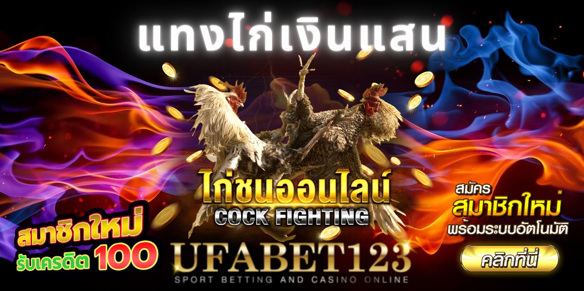 แทงไก่เงินแสน