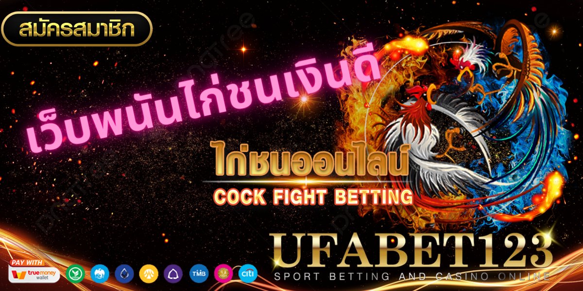 เว็บพนันไก่ชนเงินดี
